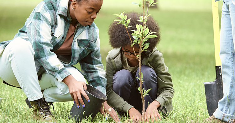And adult and child planting a tree